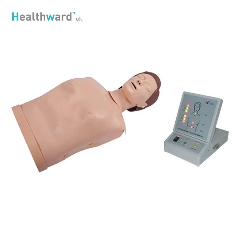 HWB-6A004 Medical Appliances Half Body CPR Training Manikin
